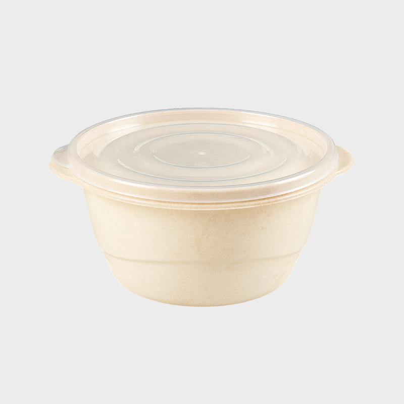 Round Lidded Plastic Fast Food Box PFB009
