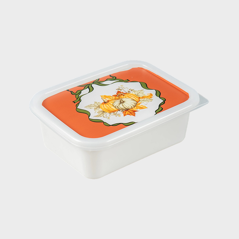 Plastic Storage Box PFB067
